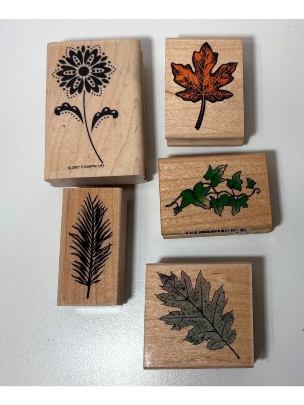 Lot Of 5 Rubber Stamps - Leaves & Floral Designs - Stampin Up!